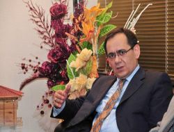 Bakan Demir: Ohal İlan Etmek 'Ben Burayı Yönetmekte Başarısız Oldum' Demektir!