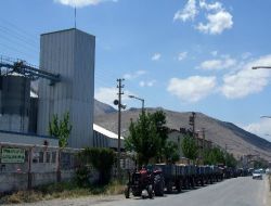 Tmo Buğday Alımına Başladı, Çiftçiler Ofis Önünde Kuyruk Oluşturdu