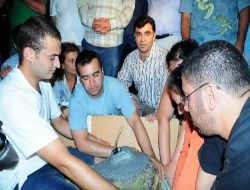 Dolunaya Uydu Takip Cihazı