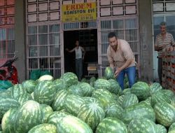 Halde Meyve–Sebze Fiyatları Düşük, Komisyoncular Satışlardan Memnun Değil!