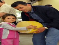 Kars'ta Kaşar Satışları Son Bir Yıldır Düşük Seyrediyor