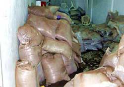 Van'da 2 tonluk çay operasyonu