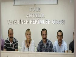 Çocukların Korkulu Rüyası Pitbul Köpeklerine Veteriner Hekimler Odası Sahip Çıktı