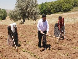 Sakık'ın Köyü 17 Yıl Sonra Yeniden Yerleşime Açıldı