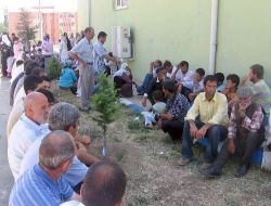 Lice'deki Çatışmanın Sebebi Hint Keneviri Hırsızlığı