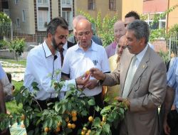Bağcılar'da Kayısı Bahçesi Pikniğe Açıldı