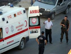 Cizre'de Çatışma: 1 Terörist Ölü, 1'i Sağ Olarak Ele Geçirildi!