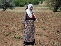 Terör Nedeniyle Boşaltılan Köyüne 17 Yıl Sonra Döndü, 77 Yaşında Çiftçilik Yapıyor