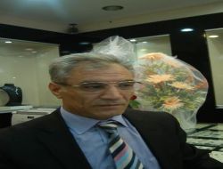 Türkiye'deki Ekonomik Gelişme, Gurbetçileri Heyecanlandırdı