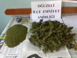 Çatı Katında Hint Keneviri Yetiştiren 1 Kişi Tutuklandı!