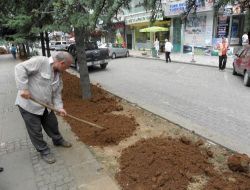 Of'ta Atatürk Bulvarı'nı Yeşillendirme Çalışmaları Başladı