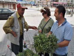Yazın Yeşil Nohut Satarak Evinin Geçimini Sağlıyor
