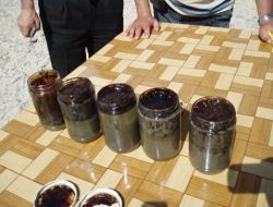 Bor'da Petrol Araştırmaları Devam Ediyor..