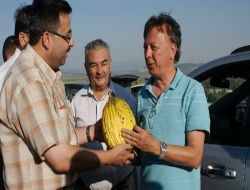 Sürücülere Kırkağaç Kavunu Dağıtıldı