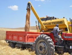 Yozgat Ziraat Odası Başkanı Açıkgöz: Çiftçiler Biçerdöverler Biçim Yaparken Kontrol Etsin