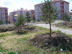 Polislerden Çevreci Organizasyon