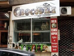Tatilci Pet Shop Sahibinden İkinci İhmal