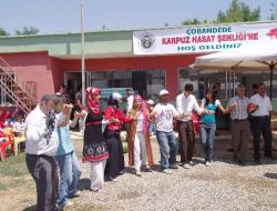 Karpuz Hasat Şenliği Renkli Görüntülere Sahne Oldu