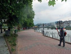 Alaplı'da Haşereyle Mücadele Aralıksız Sürüyor