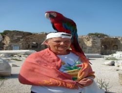 Papağan Şakir, Side'de Apollon Tapınağı'na Gelen Turistleri 'hoşgeldin' Diyerek Karşılıyor