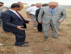 Kayseri Erozyonu Kapari Bitkisiyle Önleyecek