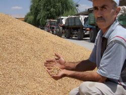 Elbistan Tüccarı Hububat Fiyatında Devleti Yakaladı