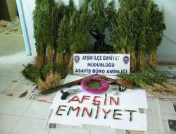 Afşin'de 192 Kilogram Kubar Esrar Ele Geçirildi!