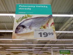 Türk Balığının Avrupa'daki İlk Müşterisi Polonya Oldu