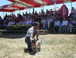 Kangallar Jüri Önüne Çıktı