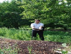 Isparta'da Kirazdaki Zarar 20 Milyon Lirayı Buldu, Üreticiler Borçlarının Ertelenmesini İstiyor!