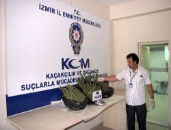 Batman'dan Getirdiği 18 Kg. Esrarla İzmir'de Yakalandı!