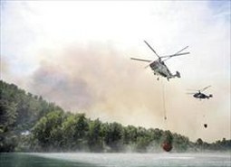 Muğla'da orman yangını