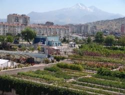 Belediye Kendi Fidan Ve Süs Bitkisini Üretince 400 Bin Lira Tasarruf Sağladı