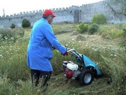 Ödenek Olmadığı İçin Kaledeki Otları Kültür Ve Turizm Müdürü Biçiyor