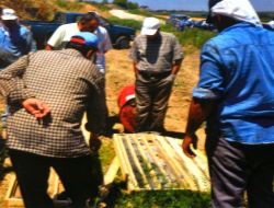 Türkiye, Dostluk Barajı İçin İlk Sondajı Vurdu, Suriye İse İşi Ağırdan Alıyor