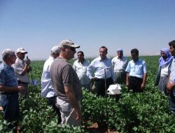 Şanlıurfa Tarım İl Müdürlüğü Ekipleri Pamuk İçin Yollarda