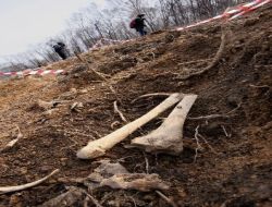 Stalin Kurbanlarına Ait 3,5 Ton Kemik Bulundu