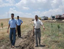 Muş'ta Bağcılık Yeniden Canlanacak!