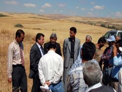 Nevşehir'de Aspir Üretimi Yaygınlaştırılacak