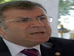 Haksen Başkanı Çivi: Elbistan İl Olmalı, 82 Plakayı İstiyoruz