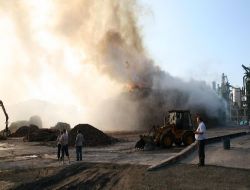 Gebze'de Tever Sunta Fabrikasında Yangın Çıktı