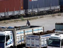 Uruguay'dan İthal Edilen 8 Bin 280 Büyükbaş Hayvanın Bulunduğu Gemi Mersin Limanı'nda..