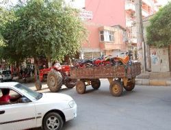 Viranşehir'de Plakası Olmayan Motosikletler Toplanıyor
