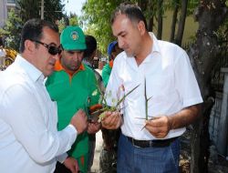 Malatya'da Çevre Düzenlemesi