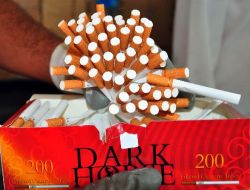 Edirne'de 13 Milyon 330 Bin Adet Kaçak Sigara Filtresi Ele Geçirildi!