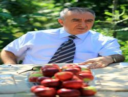 Vali Küçük: Bartın, Meyvecilikte Bölgenin En Önemli Üretim Merkezi Haline Gelecek