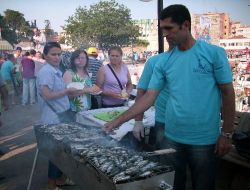 Gelibolu Sardalya Festivali'nde 2 Ton Balık Pişirildi