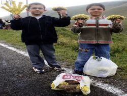 Okul Harçlıklarını Yayladan Topladıkları Çiçekleri Satarak Kazanıyorlar