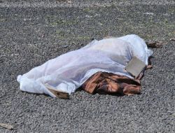 Konya'da Kamyonet At Arabasına Çarptı: 1 Ölü, 8 Yaralı