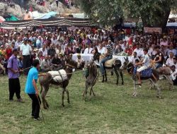 Yörükler Hacıalanı Yaylası'ndaki Şenlikte Buluştu